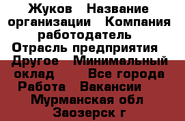 Жуков › Название организации ­ Компания-работодатель › Отрасль предприятия ­ Другое › Минимальный оклад ­ 1 - Все города Работа » Вакансии   . Мурманская обл.,Заозерск г.